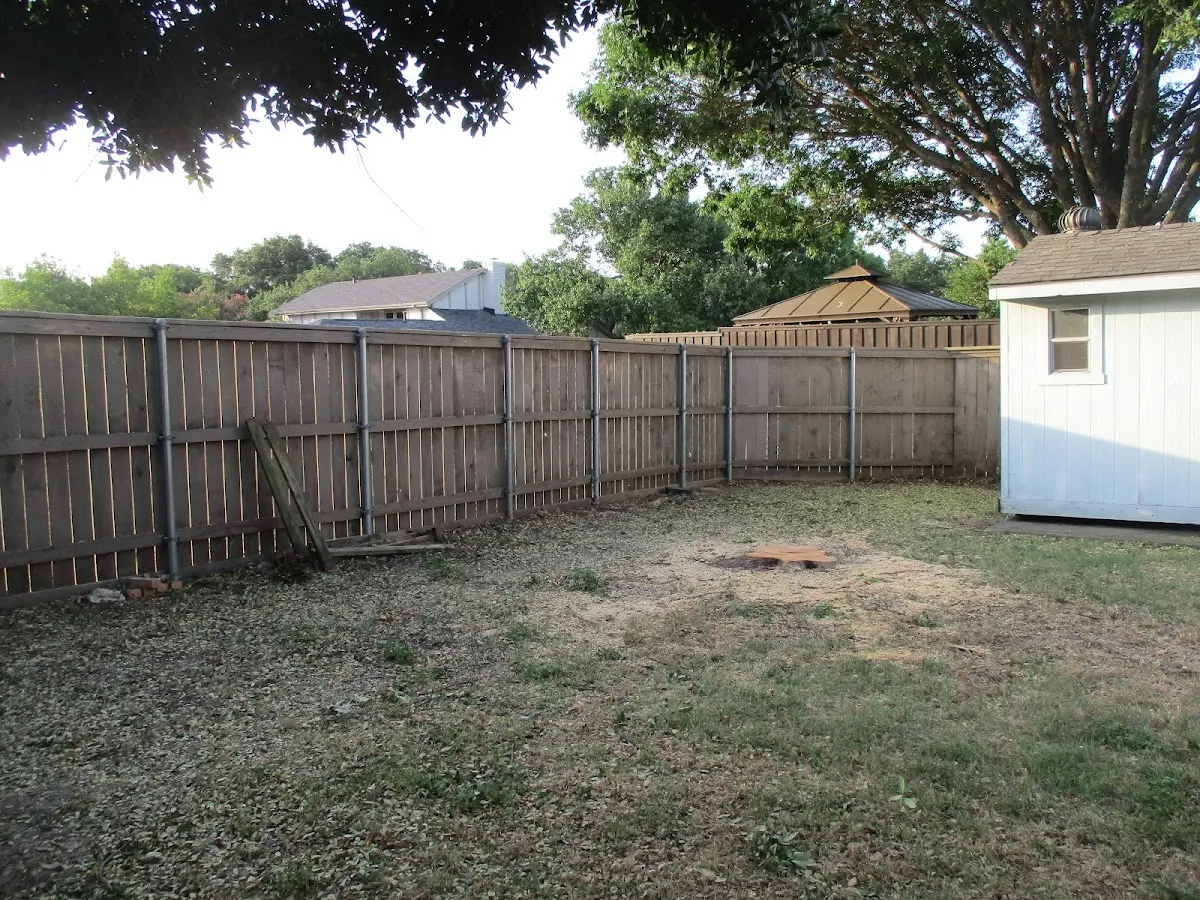 Cleared yard after professional tree removal in New London